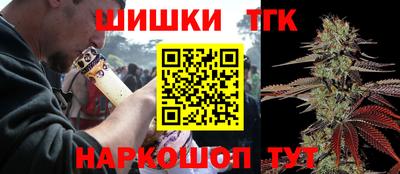 крисы Обь