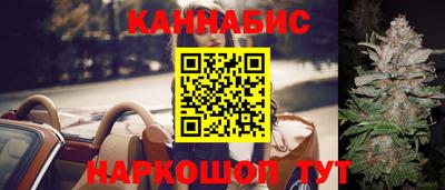 крисы Обь