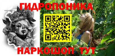 крисы Обь