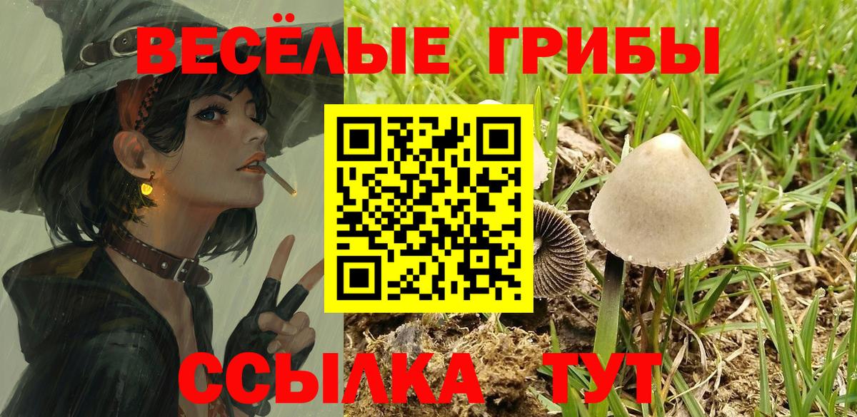 Псилоцибиновые грибы мухоморы Сафоново