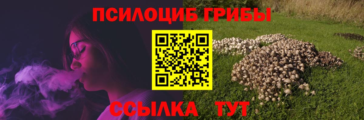 Сафоново  Псилоцибиновые грибы прущие грибы  Вход с VPN  как найти наркотики  Галлюциногенные грибы мухоморы 